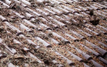 Maresfield Park roof cleaning companies